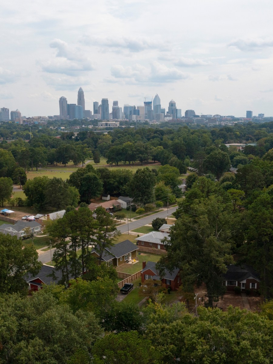 Beating the Heat: How Trees Combat Charlotte’s Urban Heat Island&nbsp;Effect