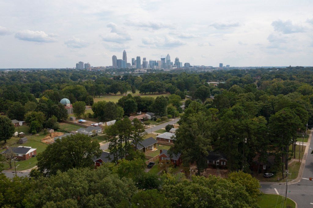 Beating the Heat: How Trees Combat Charlotte’s Urban Heat Island&nbsp;Effect