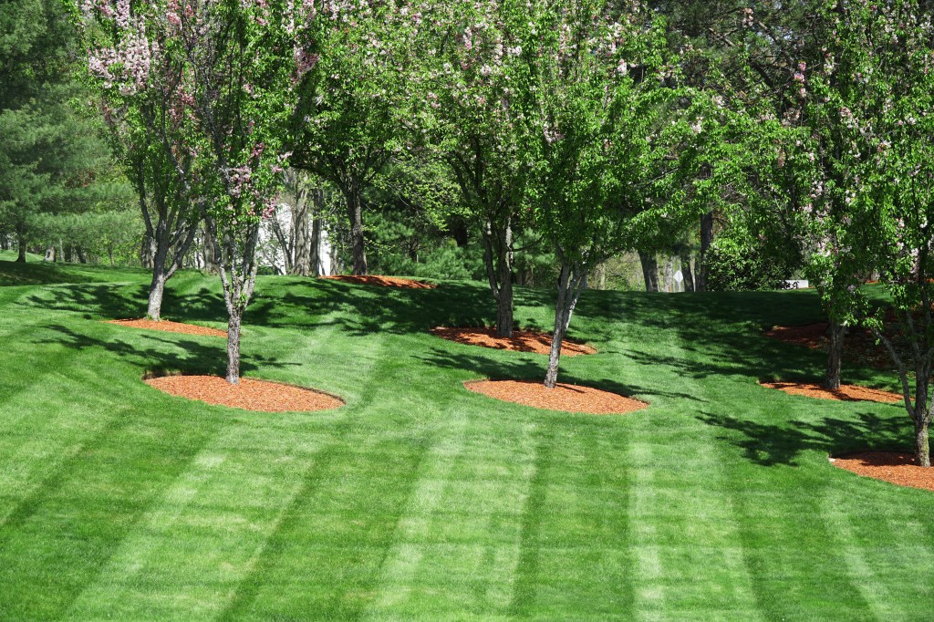 Beautifully landscaped yard with properly mulched mature trees