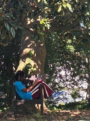 Leaf it to Us: Tree Jokes, Books, and Fun for Curious Kids (and Grown-Ups&nbsp;too!)