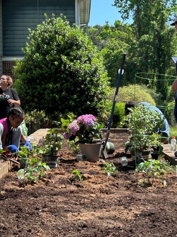 Roots of Resilience: How Charlotte Landscape Management is Building a Greener&nbsp;Future