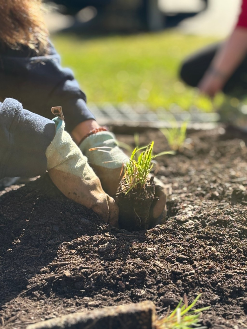 The City of Trees Celebrates Earth Month and Arbor&nbsp;Week